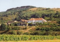 Kollndorfer